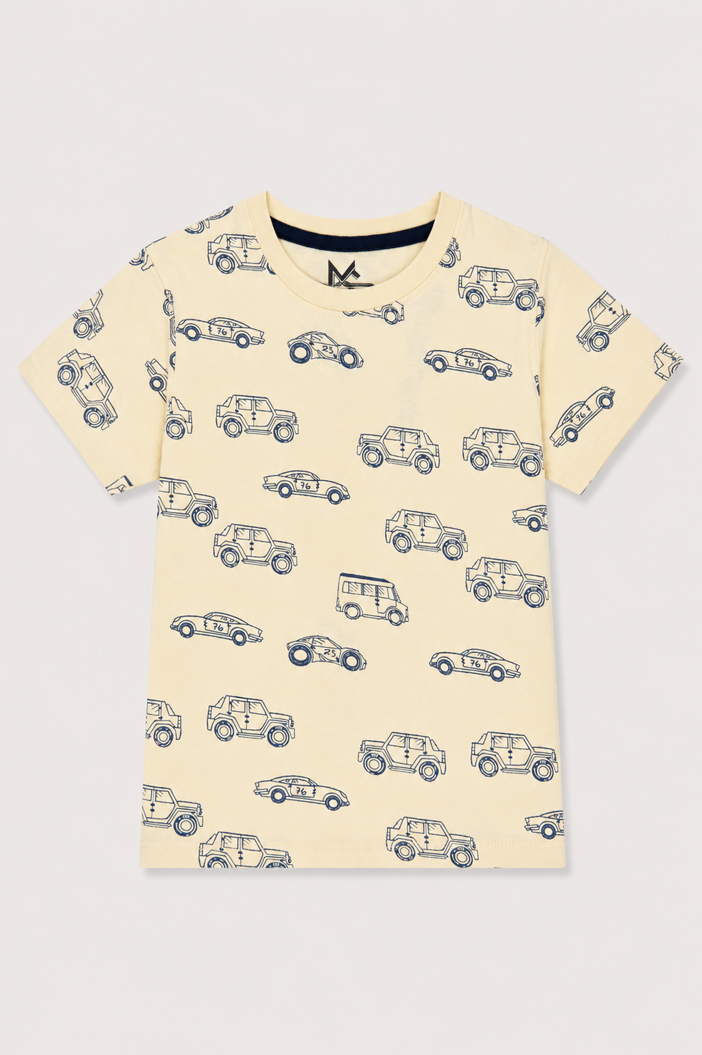 Boys pack of 2 T shirts