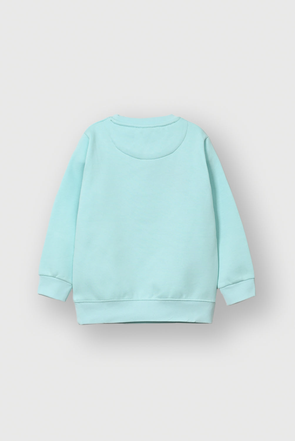 Boys Mint Green Graphic Fleece Sweatshirt