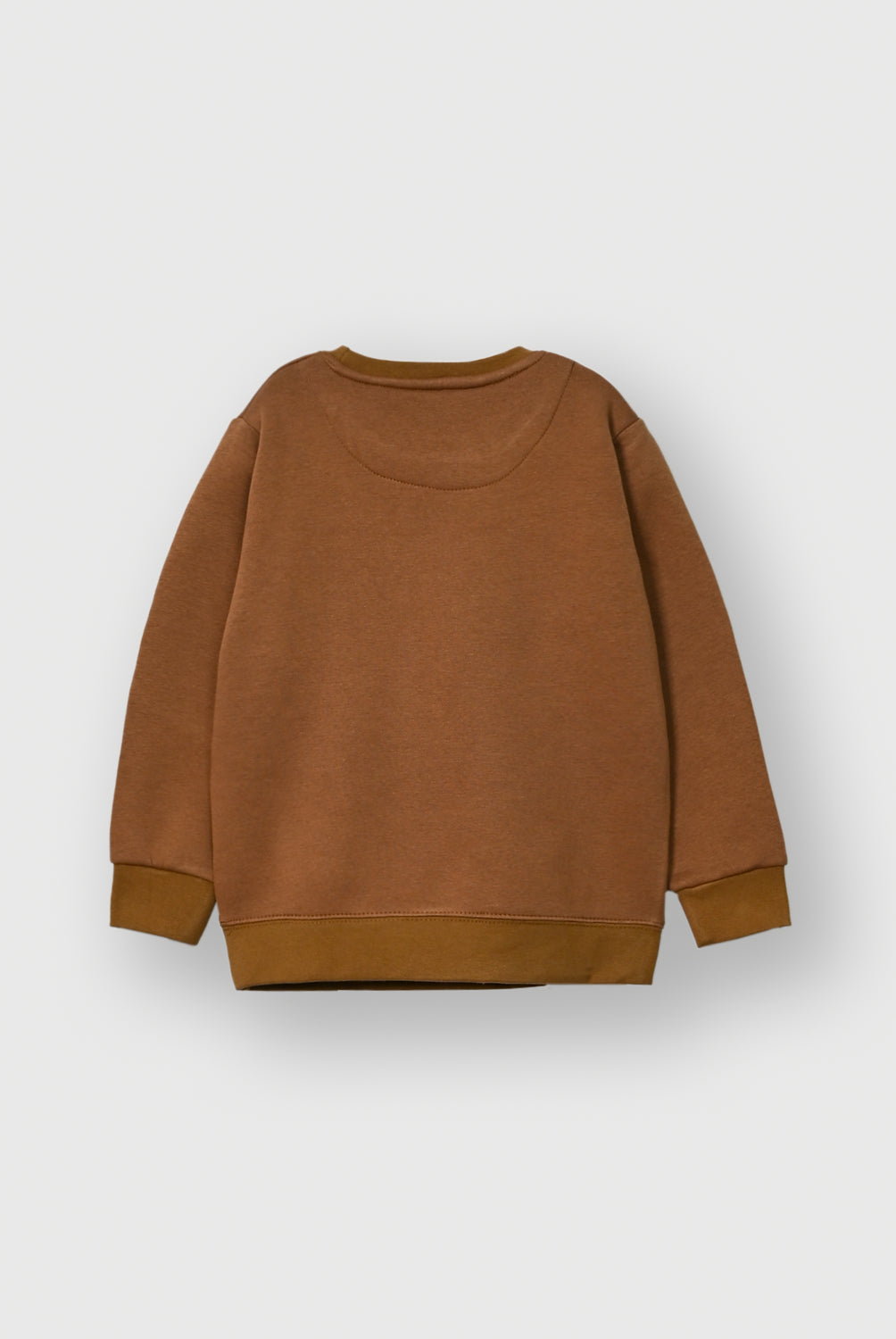Boys Brown Graphic fleece Sweatshirt