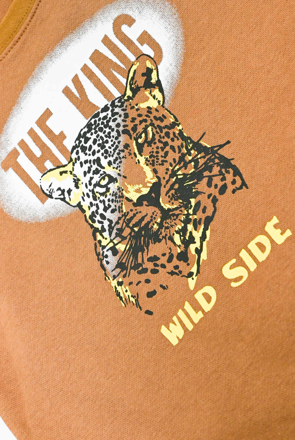 Boys Brown Graphic fleece Sweatshirt