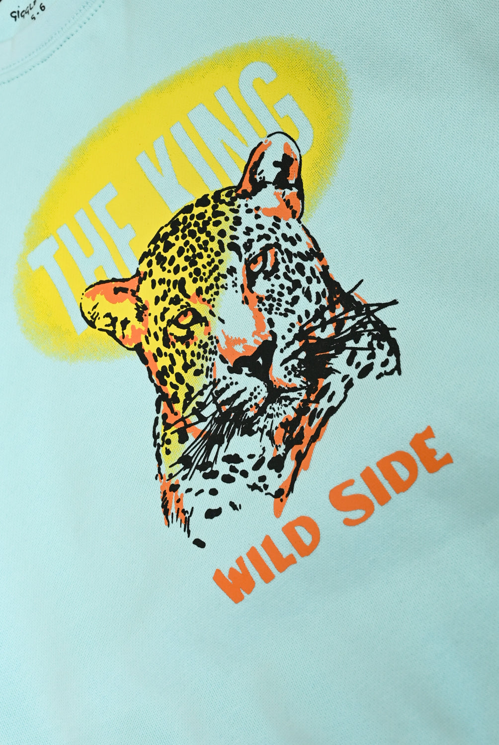 Boys Mint Green Graphic Fleece Sweatshirt