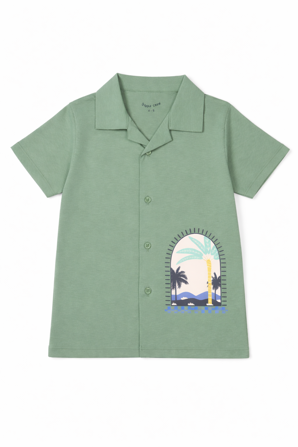 Boys pack of 2 Polo shirts