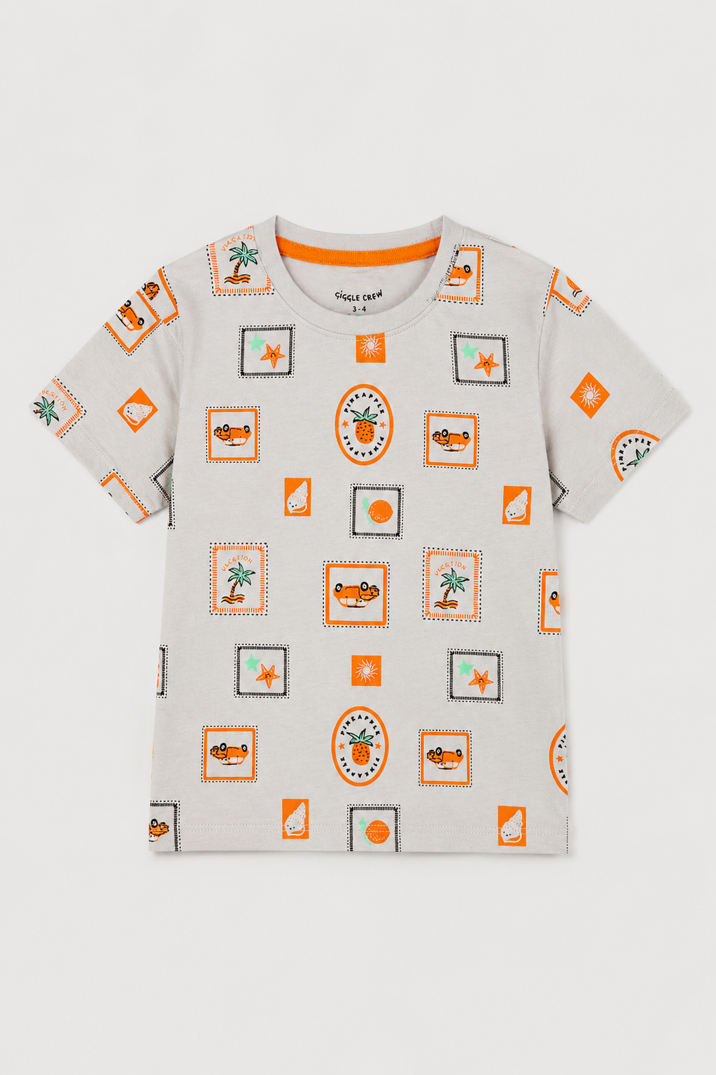 Boys pack of 2 T shirts