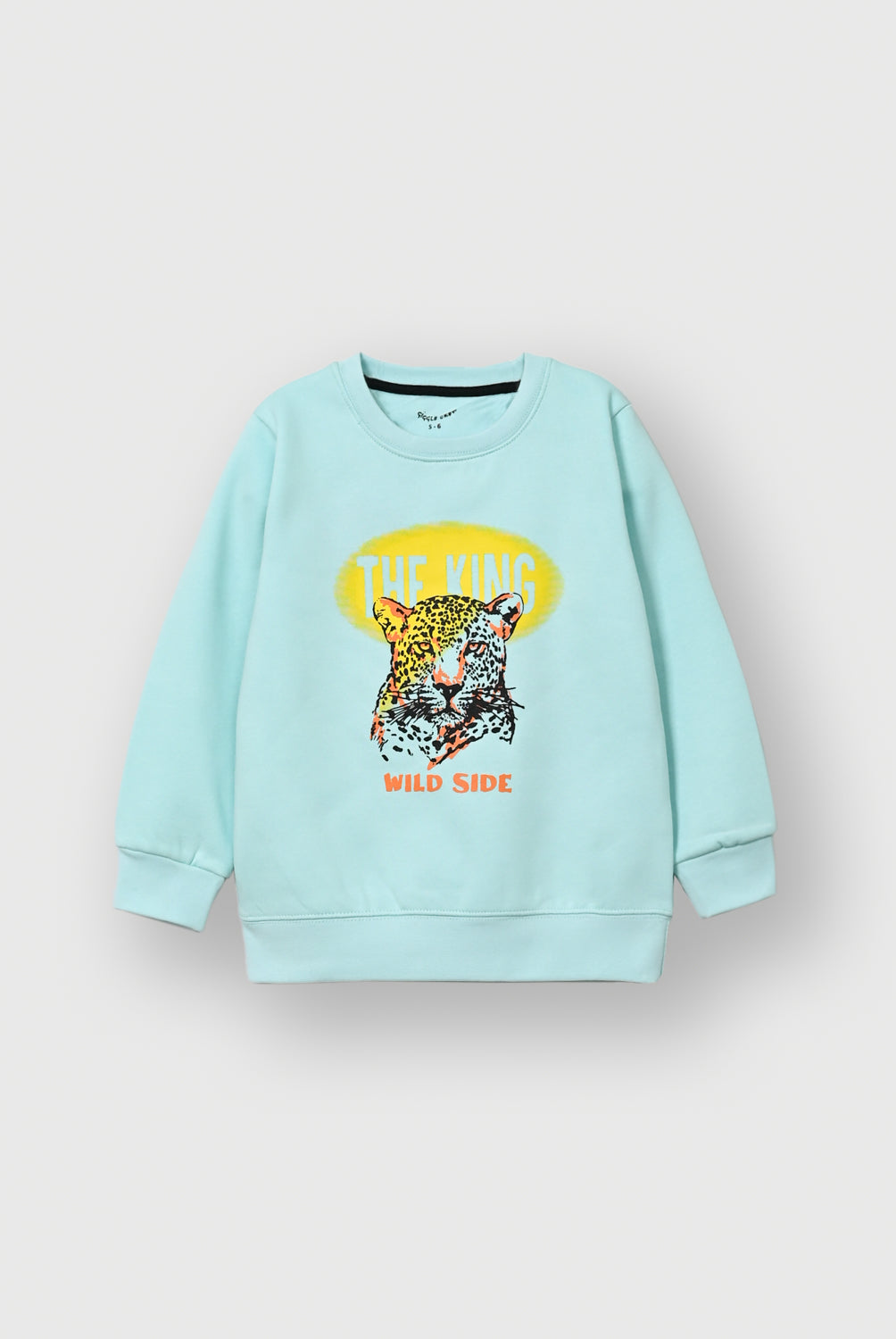 Boys Mint Green Graphic Fleece Sweatshirt