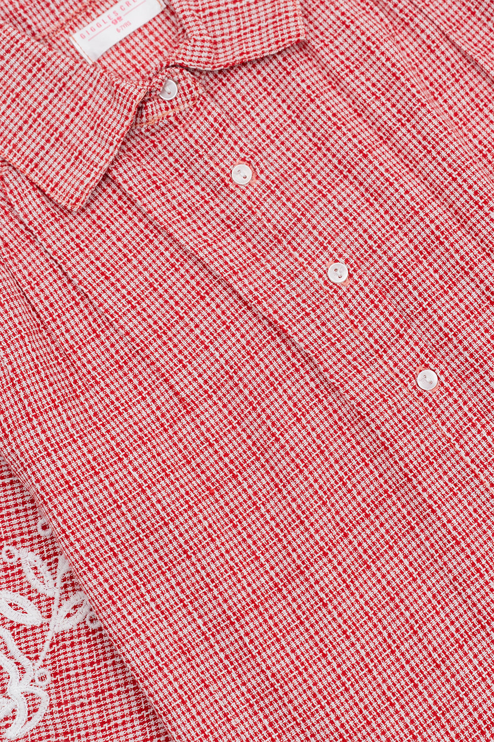 Red and White Gingham Embroidered Shirt