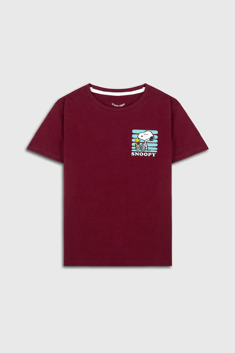 Boys pack of 2 T shirts